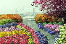 Garden design: Garden design:mix garden