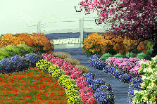 Garden design: Garden design:mix garden