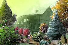 Garden design:Colorado spruce, firethorn pyracantha, winter currants, Garden design:Colorado retreat