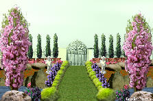 Garden design:UMA BELA ENTRADA!!! Garden design:UMA BELA ENTRADA!!!
