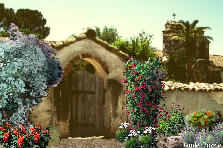 Garden design:San Miguel