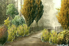 Garden design: Garden design:bridge