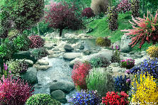 Garden design: Garden design:majical place