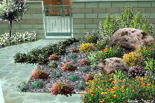 Garden design: Garden design:My version (Entrance..)