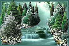 Garden design: Garden design:Wonderland