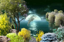 Garden design: Garden design:ROAD TO A FRIEND - my version (Dolphin)