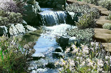 Garden design: Garden design:Nature (my version)
