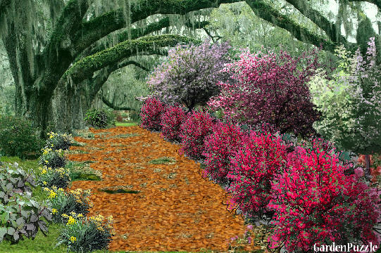 fall colors - GardenPuzzle - online garden planning tool