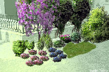 Garden design: Garden design:angolobabbo
