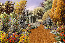 Garden design:Autumn out your frontdoor