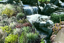 Garden design:THANKS Garden design:WATERFALL