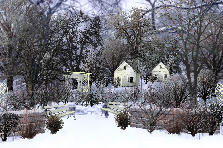 Garden design:Winter is a painting unto itself Garden design:Hello Winter