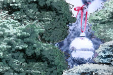 Merry Xmas! - Winter
