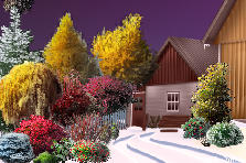 A cold winter night - Autumn