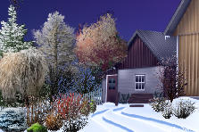 Garden design:A cold winter night
