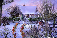 Garden design:I'm dreaming of a white Christmas......