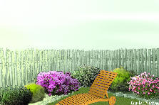Garden design: Garden design:aiuola