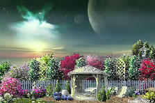 Garden design:Northern Lights