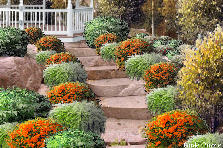 Garden design: Garden design:Solstice my version