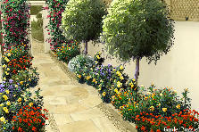 Garden design:tiny garden