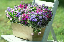 Garden design: Garden design:Flower basket
