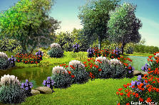 Garden design: Garden design:17-12-2012