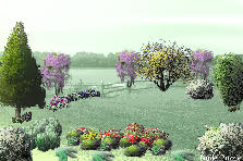 Garden design:anhah Garden design:hihi