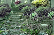 Garden design: Garden design:Garden stairway
