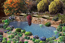 flower pool - Autumn