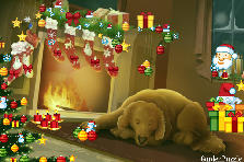 Garden design: Garden design:Christmas eve!
