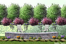 Garden design: Garden design:by the wall