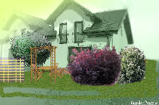 Garden design: Garden design:try
