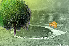 Garden design: Garden design:pond