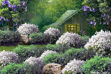 Garden design:By brewer362 Garden design:Peek a Boo Hideaway