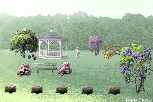 Garden design:flowers and trees Garden design:Flowers