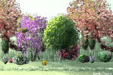 Garden design:jytftyuikjkkjnhnjnmklkjjgh Garden design:titi
