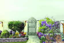 Garden design:ingresso giardino Garden design:ingresso