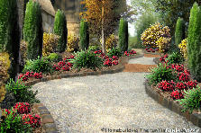 TRAIL OF PEACE - Autumn