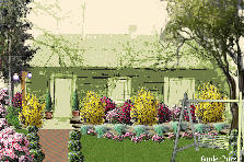 Garden design: Garden design:summer afternoon