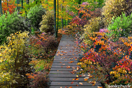 Garden design:I love Autumn! - My version - Autumn