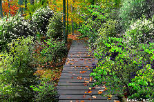 I love Autumn! - My version - Summer