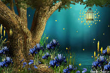 Garden design: Garden design:Firefly Night
