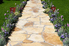 Garden design: Garden design:iris
