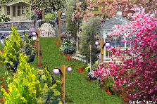 Garden design:Today is Sun, and feels good walking on the grass. Garden design:An afternoon in the park.