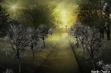 Garden design:Starry Winter Night Over Frozen Canal