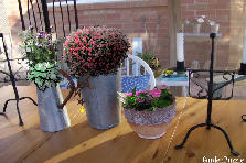 Garden design:Garden Tin Containers