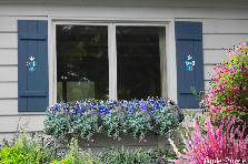 Garden design:Window box garden - my version
Thank jlhortman, by the lovely background Garden design:Blue window