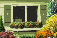 Garden design:Window box garden - my version
Obrigada jlhortman, by the lovely background Garden design:Green window