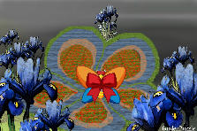 Garden design: Garden design:runway