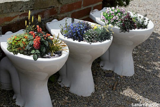 Garden design:Garden Toilet Bowl Planters - Summer